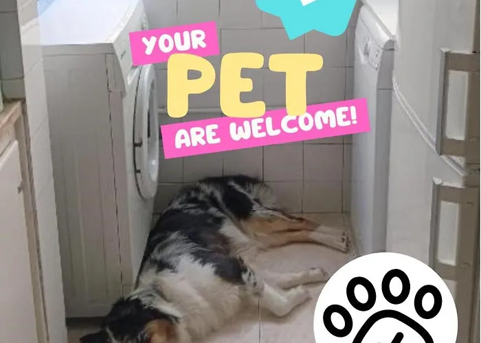 Private Rooms In Shared Apartment - Shared Bathroom And Dog Friendly Lisboa, Portugal
