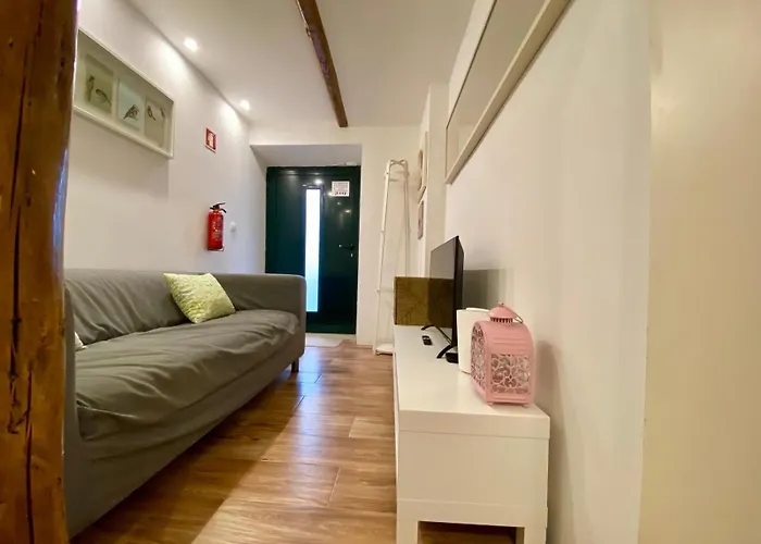 In Lisbon Green Studio, Portugal