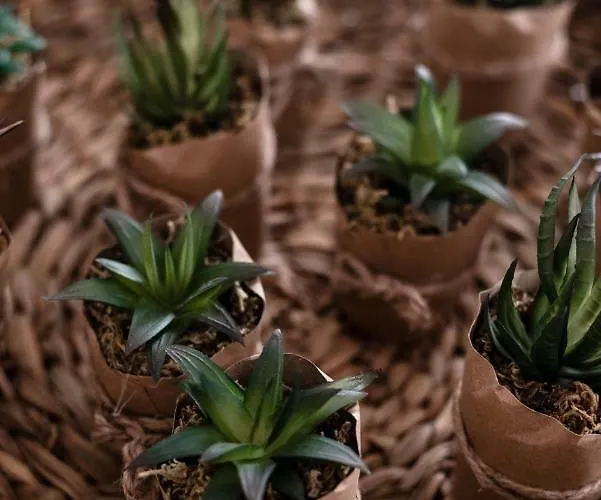 Apartamento Lisbonspot58, Portugal