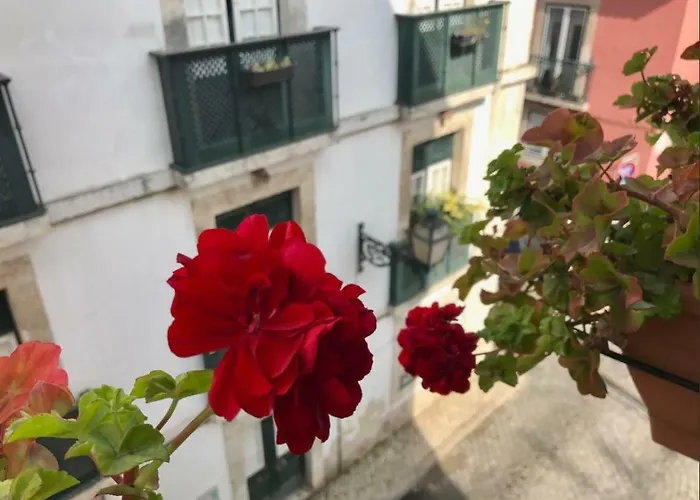 Apartamento In The Heart Of Lisboa, Portugal