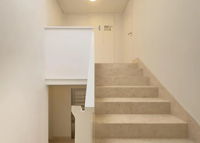 Lsa Estrela By Numa